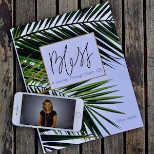 Introducing Bless - Tiffany Nesbitt displays workbook